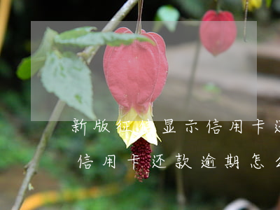 新版征信显示信用卡还款逾期 新版征信显示信用卡还款逾期怎么办