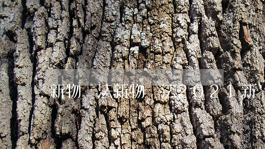 新物權法，新物權法2021新規(guī)