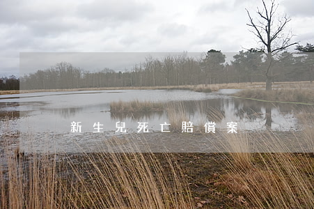 新生兒死亡賠償案