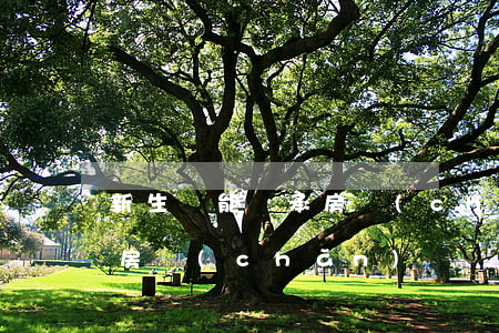 新生兒能繼承房產(chǎn)嗎(孩子繼承房產(chǎn))