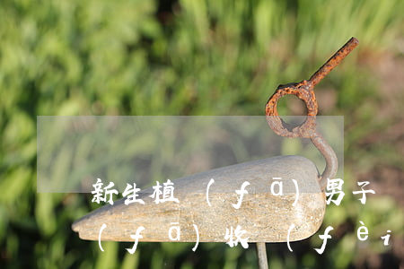新生植發(fā)男子貸款還不起(新生植發(fā)收費(fèi)價(jià)格表)