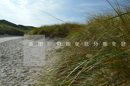 新用户分期免息 分期免息劵如何获得