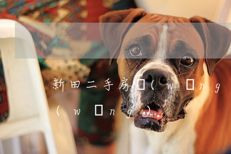 新田二手房網(wǎng)(新田縣二手房網(wǎng))