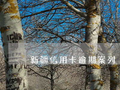 新疆信用卡逾期案列
