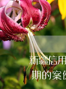 新疆信用卡逾期的案例多嗎-新疆信用卡逾期的案例多嗎知乎
