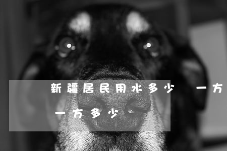 新疆居民用水多少錢一方(烏魯木齊居民用水一方多少錢)