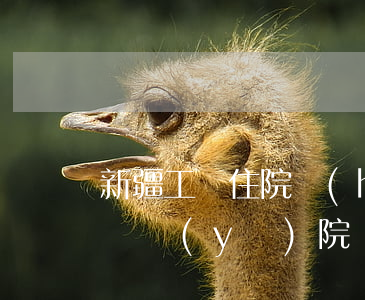 新疆工傷住院護(hù)理費多少錢一天(工傷醫(yī)院護(hù)理費多少錢一天)