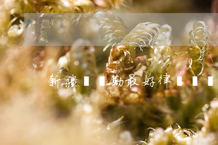新疆庫爾勒最好律師(庫爾勒比較有名的律師)