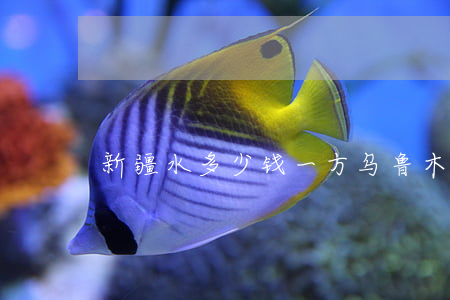 新疆水多少钱一方(乌鲁木齐1方水多少钱)