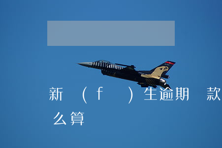 新發(fā)生逾期貸款怎么算(房貸逾期怎么算)