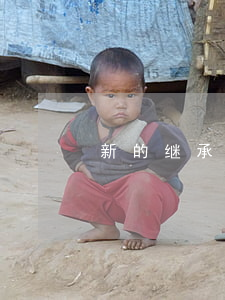新的继承法(2021年实施的)