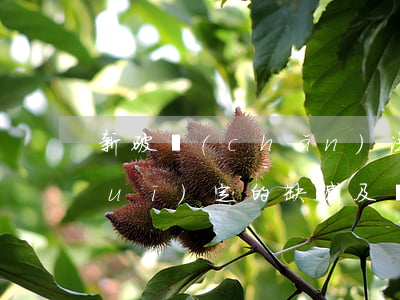 新破產(chǎn)法有關清償順序規(guī)定的缺憾及對策