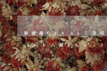 新破產(chǎn)法視野下的債權(quán)人會(huì)議召開程序