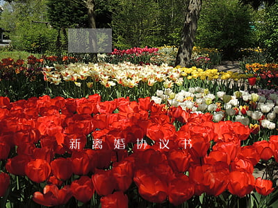 新离婚协议书