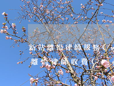 新站離婚律師服務(wù)費(fèi)用(離婚律師 收費(fèi))
