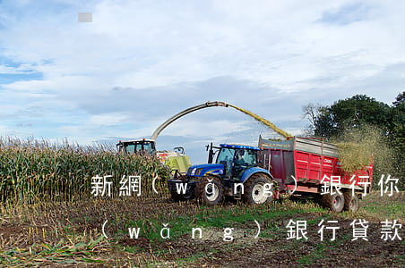 新網(wǎng)銀行你的貸款已逾期(新網(wǎng)銀行貸款逾期幾天會報送征信中心)
