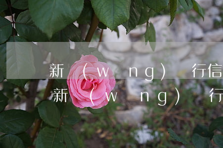 新網(wǎng)銀行信用卡逾期多久起訴 新網(wǎng)銀行貸款逾期三個(gè)月沒(méi)還會(huì)被起訴嗎