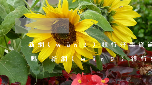 新網(wǎng)銀行好事貸逾期一天嚴重嗎-新網(wǎng)銀行好事貸逾期一天嚴重嗎怎么辦