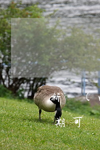 新網(wǎng)銀行網(wǎng)貸逾期可協(xié)商還款嗎-網(wǎng)貸逾期之前可以協(xié)商嗎