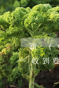 新網(wǎng)銀行逾期一個(gè)月收到要被訴訟的短信是真的嗎（欠新網(wǎng)銀行逾期多久起訴）
