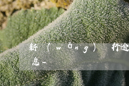 新網(wǎng)銀行逾期一萬怎樣計算利息-