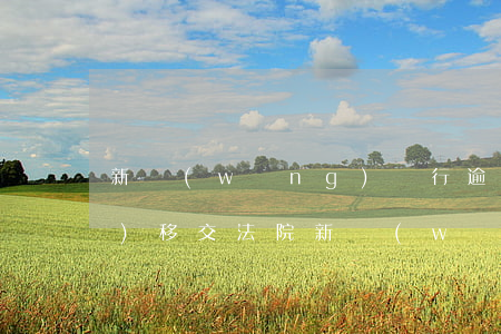 新網(wǎng)銀行逾期了說(shuō)移交法院(新網(wǎng)銀行會(huì)起訴嗎90天會(huì))