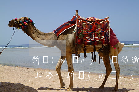 新網(wǎng)銀行逾期可以只還本金嗎上海-新網(wǎng)銀行逾期可以只還本金嗎上海