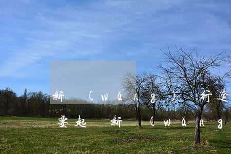 新網(wǎng)銀行逾期四個(gè)月要起訴(新網(wǎng)銀行貸款逾期2個(gè)月還上法院起訴嗎)