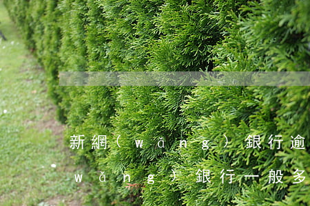 新網(wǎng)銀行逾期多久起訴 新網(wǎng)銀行一般多久起訴