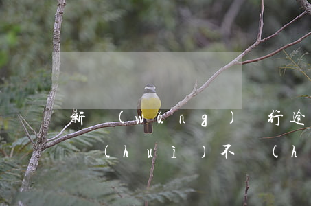 新網(wǎng)銀行逾期春節(jié)會(huì)不會(huì)買不到票-新網(wǎng)銀行逾期后果是什么