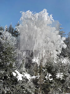 新網(wǎng)銀行逾期還款優(yōu)化(新網(wǎng)銀行逾期還款優(yōu)化)