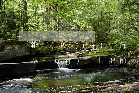 新網(wǎng)銀行還款逾期一天(新網(wǎng)銀行提前還款)