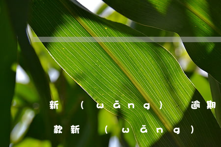 新網(wǎng)銀逾期協(xié)商還款(新網(wǎng)銀行逾期貸款)