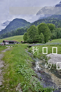 新網銀行協(xié)商還款可以免罰金是真的嗎-新網銀行協(xié)商會有減免嗎