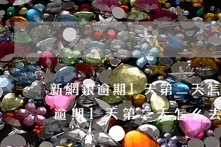 新網銀逾期1天第二天怎么去還款-新網銀逾期1天第二天怎么去還款呢