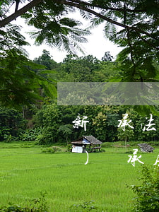 新繼承法父母去世怎么繼承房產(chǎn)(繼承房產(chǎn)必須父母過世?)