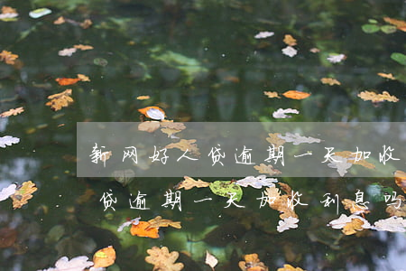 新网好人贷逾期一天加收利息吗-新网好人贷逾期一天加收利息吗是真的吗