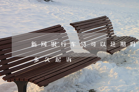 新网银行车贷可以延期吗（新网银行车贷逾期多久起诉）