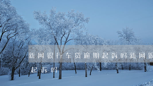 新网银行车贷逾期起诉吗(新网银行车贷逾期起诉吗)