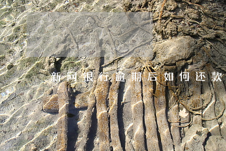 新网银行逾期后如何还款