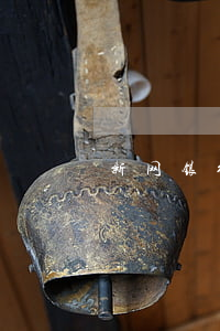 新网银行逾期能否协商还款