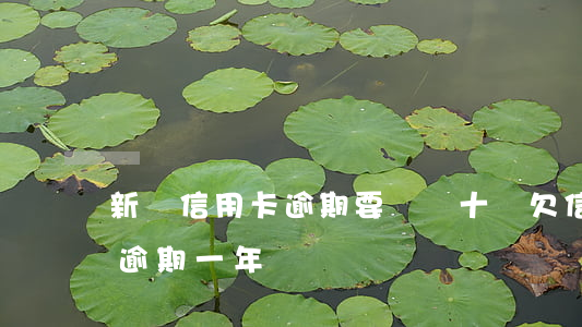 新聞信用卡逾期要還幾十萬(欠信用卡40萬逾期一年)