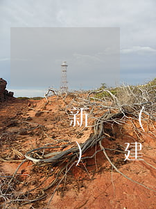 新職業(yè)教育法解讀及應(yīng)對建議
