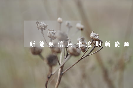 新能源信用卡逾期 新能源信用卡逾期