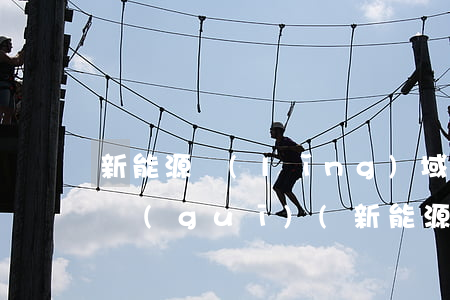 新能源領(lǐng)域涉及的安全法律法規(guī)(新能源汽車相關(guān)的政策法規(guī)有哪些)