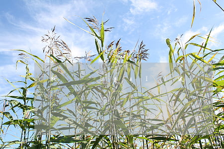 新舊規(guī)定對(duì)比變化