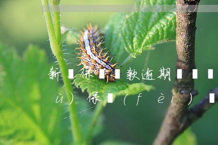 新華保險貸款逾期會凍結(jié)續(xù)保費(fèi)銀行卡嗎(新華保險還貸款時發(fā)現(xiàn)被掛起不能還是怎么回事)