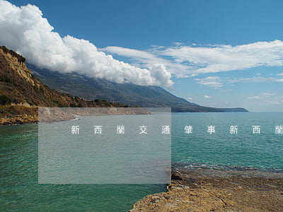 新西蘭交通肇事(新西蘭交通肇事)