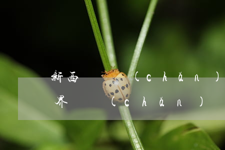 新西蘭遺產(chǎn)怎么繼承(新西蘭世界遺產(chǎn))