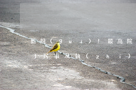 新規(guī)!最高院:關(guān)于民事及執(zhí)行案件4個問題的最新通知(審理案件中依法審慎適用拘傳措施)